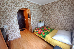 1-комнатная квартира Парашютная 21 в Красноярске 5
