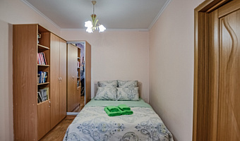 1-комнатная квартира Жуковского 23А в Казани - фото 3