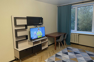 1-комнатная квартира Тореза 26 в Санкт-Петербурге 2