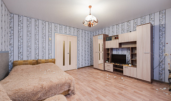 1-комнатная квартира Комаровского 6А в Челябинске - фото 5