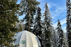 "Forest Glamp" глэмпинг - забронировать