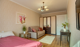 1-комнатная квартира Гайдара 41 в Калининграде - фото 3