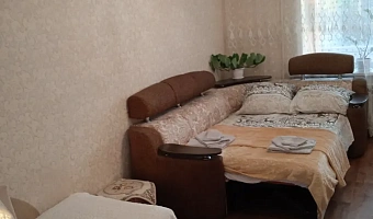 3х-комнатная квартира Черёмушки 8 в Павловске - фото 4