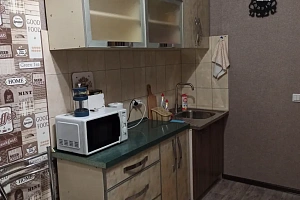 1-комнатная квартира Гагарина 65 в Павловске фото 9