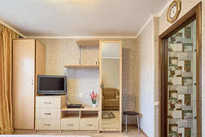Гранд-отели в Ставропольском крае, "Светлая и Уютная" 1-комнатная гранд-отели - раннее бронирование