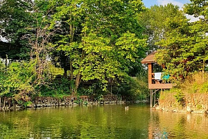 Частный сектор в , "Клевое Место" - фото