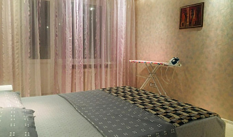 1-комнатная квартира Ставропольская 216 в Самаре - фото 5