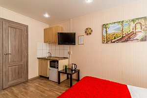 Гостиницы Челябинска с собственным пляжем, квартира-студия Косарева 12 с собственным пляжем - раннее бронирование