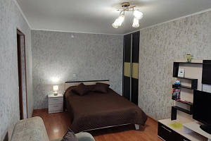 Квартиры Мурманска на неделю, 1-комнатная Александра Невского 98 на неделю - фото