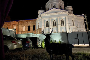 База отдыха в , "Панорама LUX" - фото