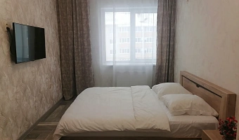 &quot;Уютная для отдыха&quot; 1-комнатная квартира в Павловске - фото 3