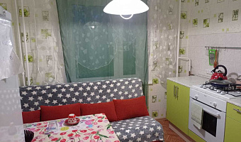 1-комнатная квартира Рабочая 44 в Домодедово - фото 5
