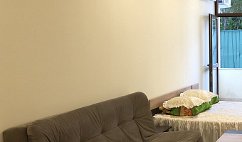 1-комнатная квартира Алупкинское шоссе 34Е кв 1 в Мисхоре (Ялта) - фото 3