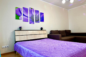 1-комнатная квартира Сибгата Хакима 44 в Казани 4