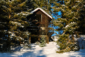 Гостиницы Перми с термальными источниками, "Опушка. Дом среди деревьев" с термальными источниками
