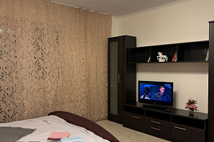 1-комнатная квартира Севастопольский 60 в Москве 6