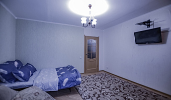 1-комнатная квартира Лазарева 5А в Казани - фото 5