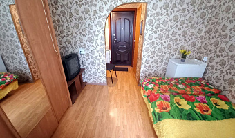 1-комнатная квартира Парашютная 21 в Красноярске - фото 4