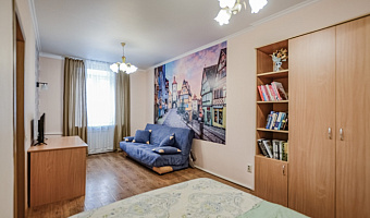 1-комнатная квартира Жуковского 23А в Казани - фото 5