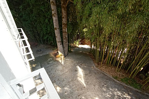 &quot;Бамбуковая роща&quot; гостевой дом в Мацесте фото 15