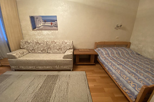 &quot;Стандартная на Горького&quot; 1-комнатная квартира в Нижнем Новгороде фото 5