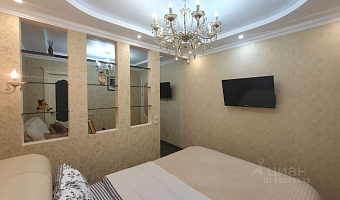 &quot;Шампань&quot; 1-комнатная квартира в Нижнем Новгороде - фото 2
