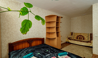 1-комнатная квартира Рыленкова 57 в Смоленске - фото 5