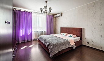 1-комнатная квартира Ставропольская 216 в Самаре - фото 2
