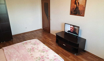 1-комнатная квартира Мордасовой 9 в Воронеже - фото 3