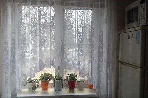 &quot;Светлая и уютная у фонтанов&quot; 1-комнатная квартира в Петергофе фото 4