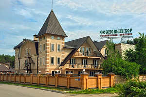 Гостиницы Иваново у парка, "Сосновый Бор" у парка