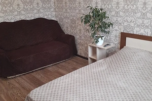 &quot;Уютная в тихом спальном районе&quot; 1-комнатная квартира в Михайловске фото 6