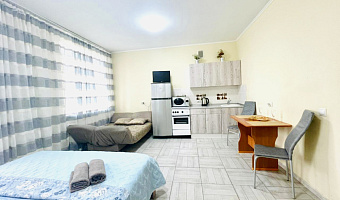 1-комнатная квартира Беляева 33к2 в Тюмени - фото 4