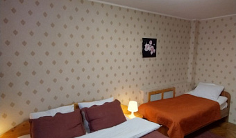 &quot;Уютная в Самом Центре&quot; 2х-комнатная квартира в Мурманске - фото 4
