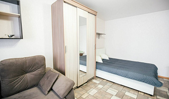 1-комнатная квартира Николая Островского 23 в Кемерово - фото 2
