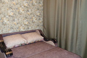 Квартиры Томска с размещением с животными, 1-комнатная Розы Люксембург 43 с размещением с животными
