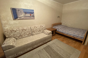 &quot;Стандартная на Горького&quot; 1-комнатная квартира в Нижнем Новгороде фото 6