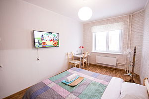 Гостиницы Новосибирска с почасовой оплатой, "Dom Vistel На Титова 246/1" 1-комнатная на час - цены