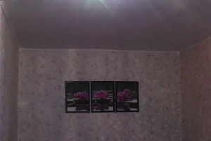 &quot;Светлая и уютная у фонтанов&quot; 1-комнатная квартира в Петергофе фото 3