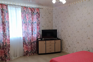 1-комнатная квартира Античный 12 в Севастополе фото 6