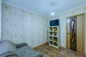 1-комнатная квартира Ибрагимова 59 в Казани 5