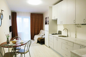 &quot;Scandic Apartment&quot; 1-комнатная квартира в Калининграде 5