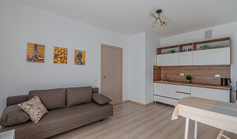 1-комнатная квартира Рябинина 49А в Екатеринбурге - фото 2