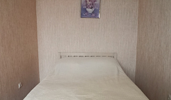 1-комнатная квартира Хутынская 29 в Великом Новгороде - фото 2