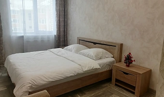 &quot;Уютная для отдыха&quot; 1-комнатная квартира в Павловске - фото 2