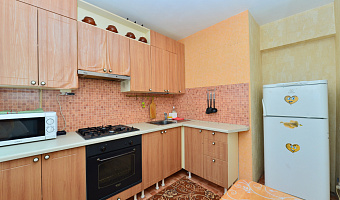 1-комнатная квартира Патриса Лумумбы 38 в Екатеринбурге - фото 4