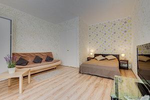 Отели Ленинградской области с аквапарком, 1-комнатная Ковенский 29 с аквапарком - фото