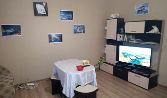 1-комнатная квартира Калича 16 в Балаклаве (Севастополь) - фото 5