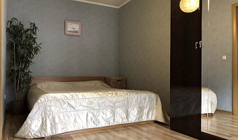 2х-комнатная квартира Ошарская 21 в Нижнем Новгороде - фото 2