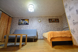 Гостиницы Апатитов с размещением с животными, 1-комнатная Ленина 9 с размещением с животными - цены